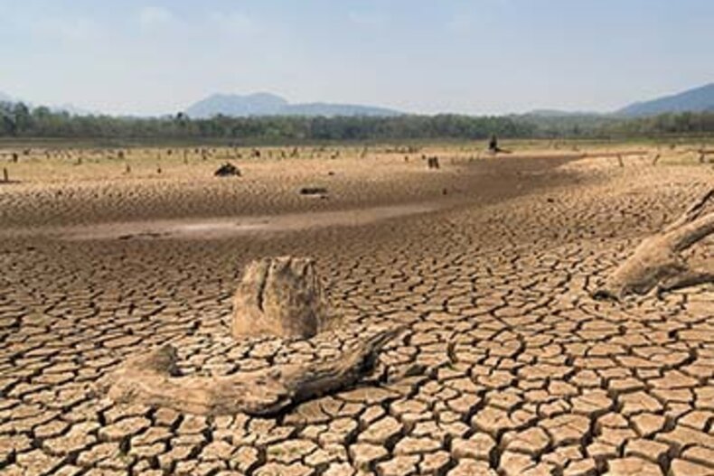 © https://www.un.org/en/observances/desertification-day